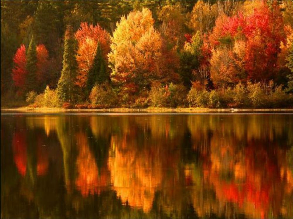 AutumnTrees_StillRiver.jpg