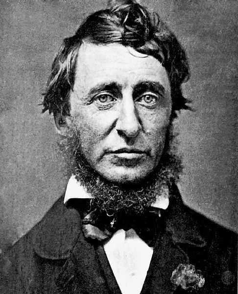 Thoreau_HDavid_1856.jpg