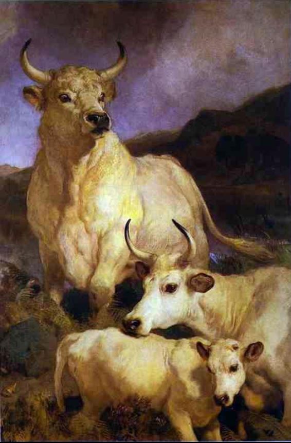 cattle_Wild-Chillingham_EdwinLandseer1867.JPG