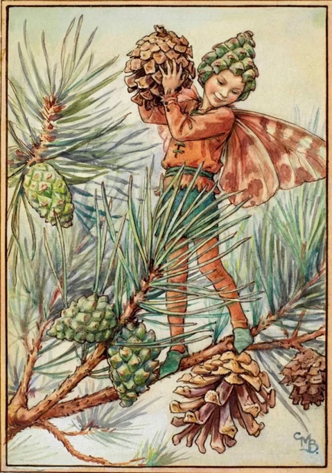 1950_PineTreeFairy_byCicelyBarker.jpg