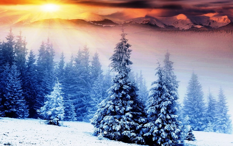 Tree_Wintersunriz_Snow.jpg
