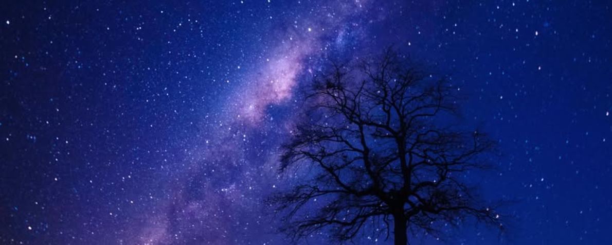 tree_galax_banner.png