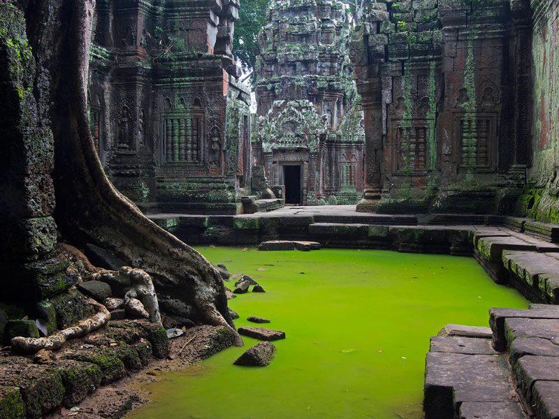 Temple_TaProhm_Cambodia.jpg
