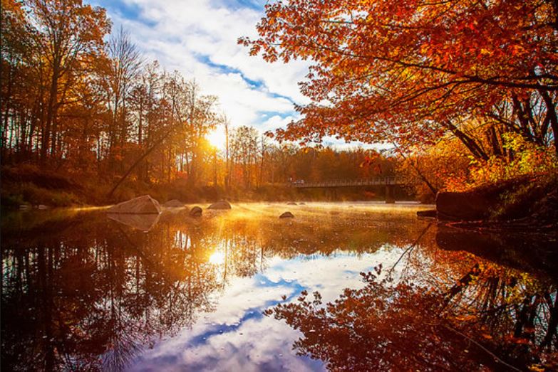 Lake_AutumnGolden_pond.JPG