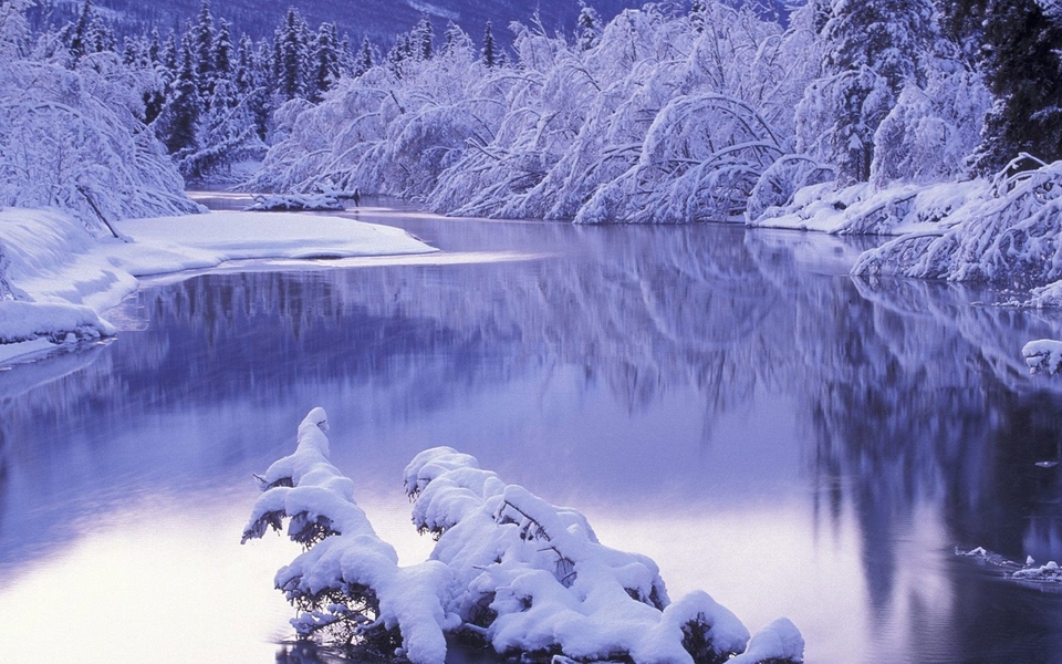 Zani_winterWater.jpg