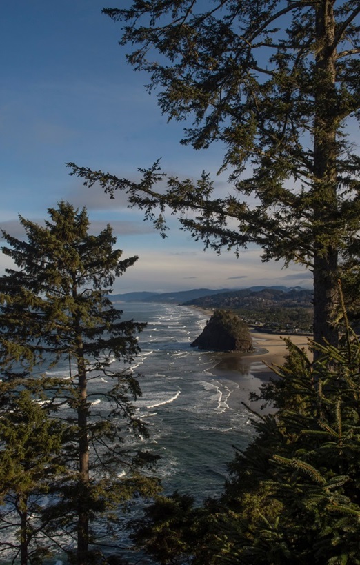 Ocean_ProposalRock_NeskowinOR_by PatrickSmith.jpg