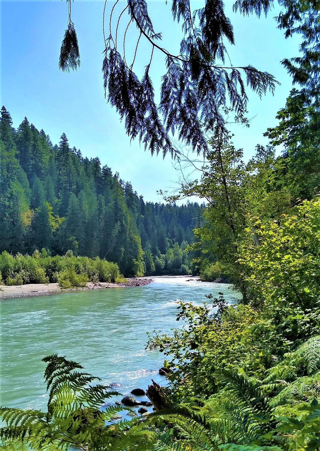 River_Sauk_WashingtonUSA.jpg