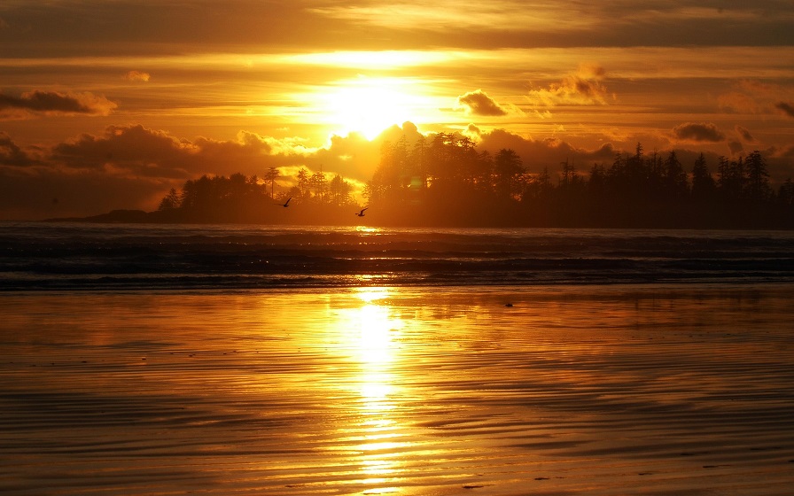 ocean_Golden1_sunrise.jpg