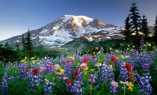 Mtn_tRainier.jpg