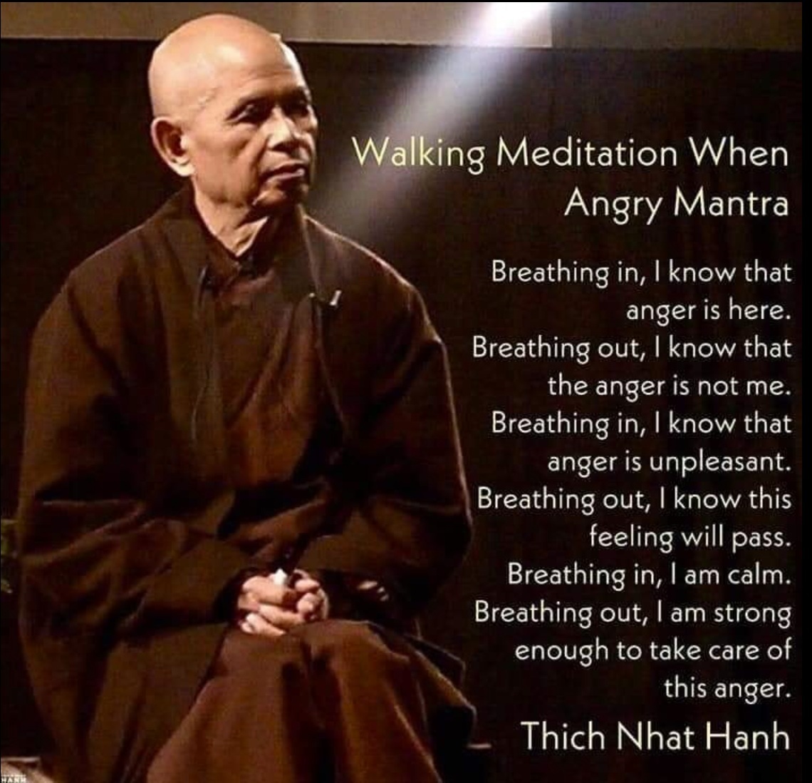 Quote_Anger_ThichNhatHanh.jpg